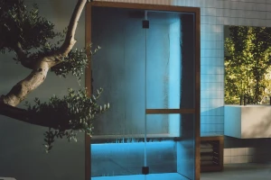 Introducing Partner Effe Perfect Wellness