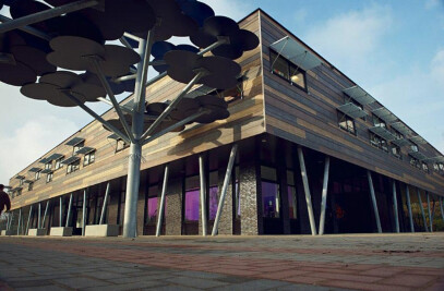 The Tree House School