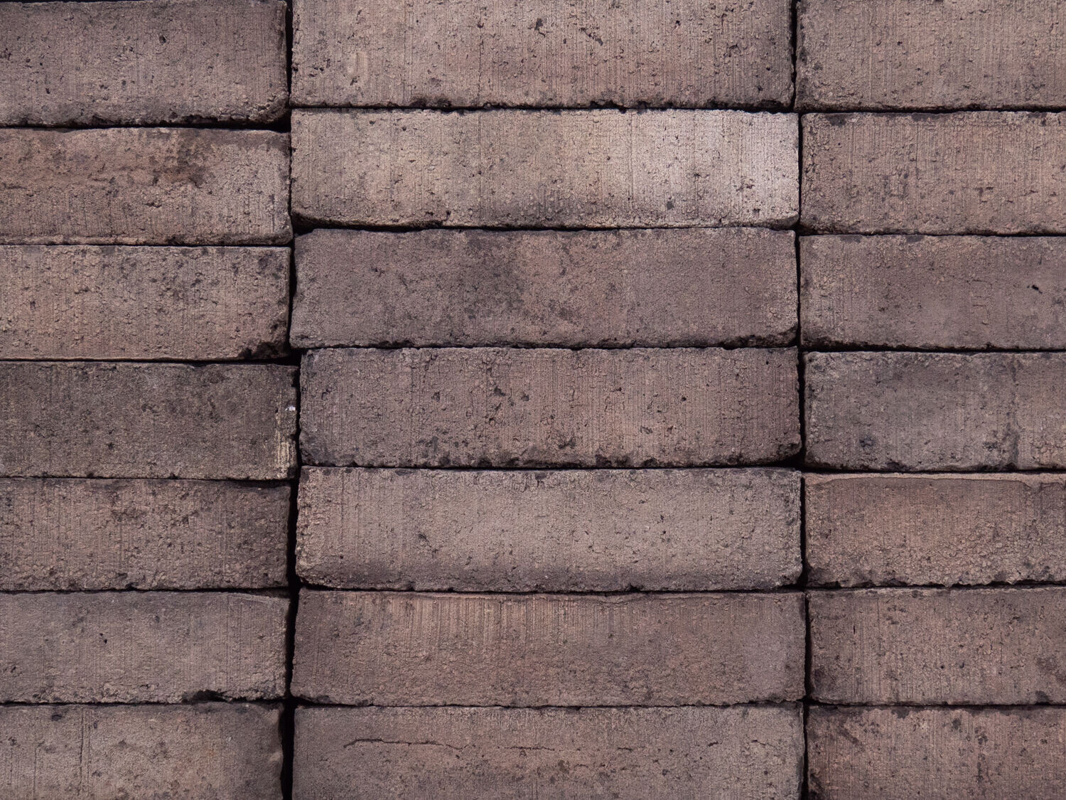 Mushroom Punched WasteBasedBricks®